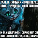 ���� �������, ��������, 55 ��� - ��������� 10 ��� 2025 � ������ ������ ��������