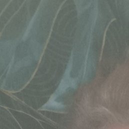 ��������, ������, 54 ����