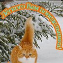 ���� ������, ���������, 50 ��� - ��������� 22 ������ 2024 � ������ ���� ����������