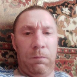 ������, ����, 41 ���