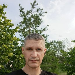 , 49 , 