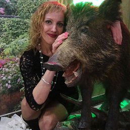 �����, ������, 49 ���