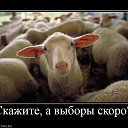 ���� �������, ����������� - ��������� 21 ��� 2025 � ������ ������ ��������