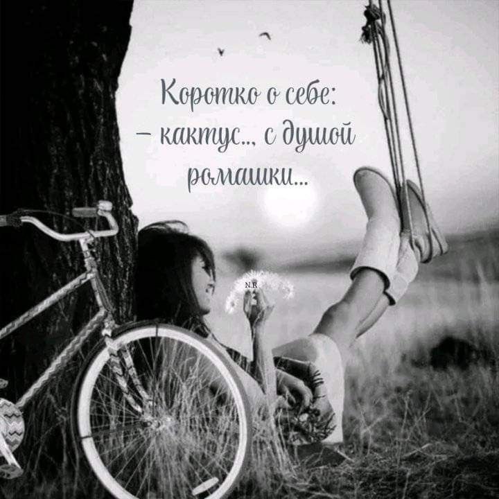   - 19  2025  14:27