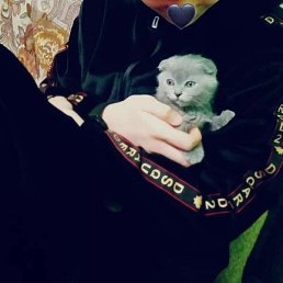 �, �������, 23 ����