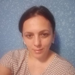 ���� ���������, ���������, 44 ���� - ��������� 17 ���� 2026