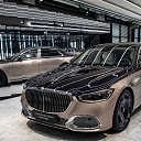 ���� �����, ��������, 29 ��� - ��������� 8 ������ 2023 � ������ ���� ����������