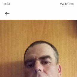 , 40, 