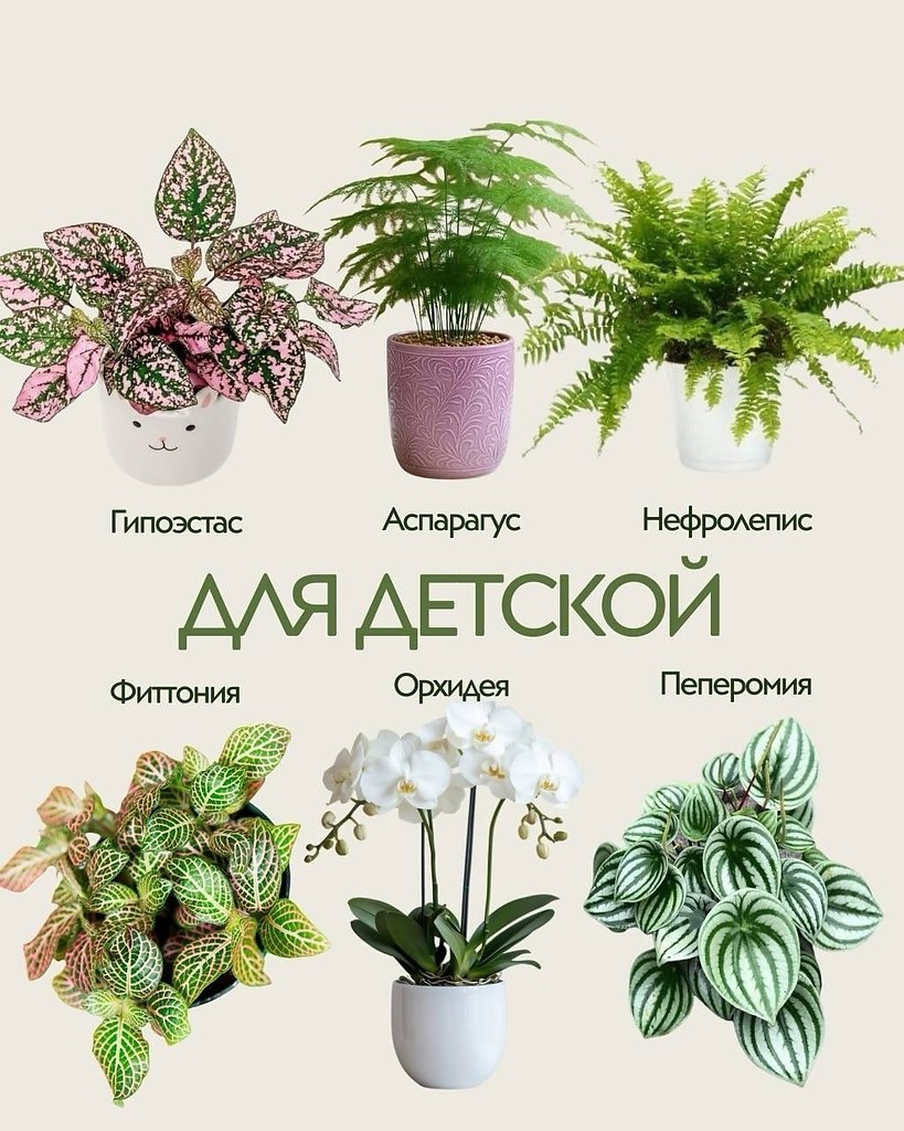 � ������� �������� � ��� ��������� �����! �������: ��� ���, ��� ����� ������ � �����. �����: ��� ... - 4