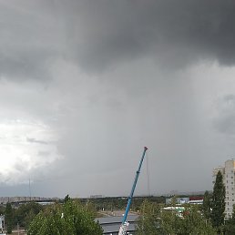 ������� ������������, ���������, 44 ����