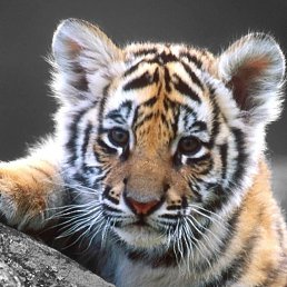 ���� ������, ������, 36 ��� - ��������� 19 ������ 2024