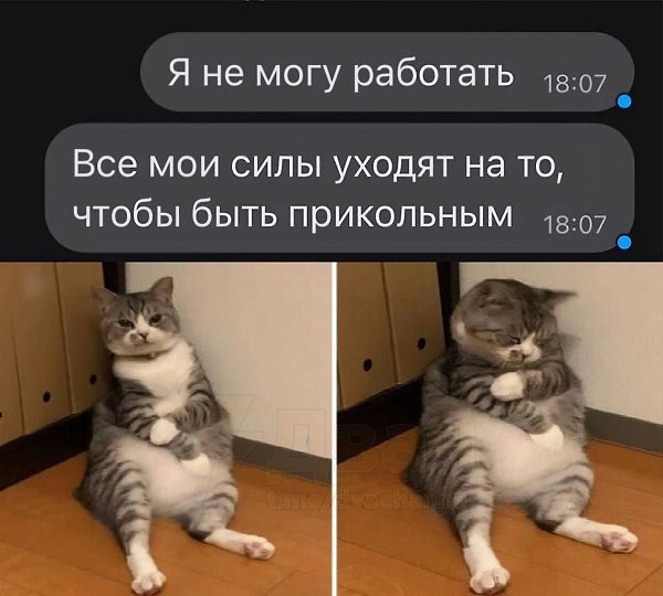 ����������� ���� ��������� ��������. ��� � ��� ����� ������ ���� � ���, ������������ ����������, ...