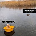 ���� ���������, �������, 40 ��� - ��������� 28 ���� 2026 � ������ ������ ��������