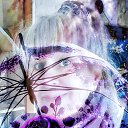 ���� Starseed, ����������� - ��������� 5 ������� 2025 � ������ ������ ��������