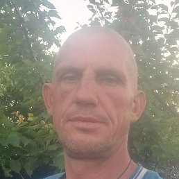 ������, ����, 43 ����