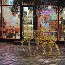 ���� Vladimir, ������-��-����, 58 ��� - ��������� 24 ������� 2025 � ������ ����� 2025-26�