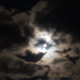  Yura,  , 36  -  25  2024