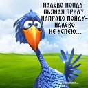 ���� ����, ������� - ��������� 16 �������� 2025 � ������ ��������� ����