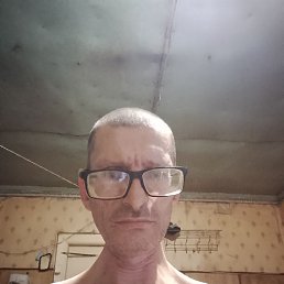 ��������, 46 ���, ���������