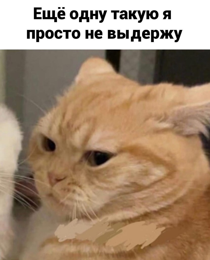    - 3