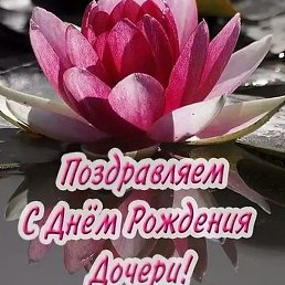 ������, ������ ��������, 67 ���