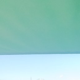 ����, ������, 41 ���