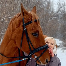 ��������, ���