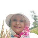  ,  -  28  2025    -    ,      .