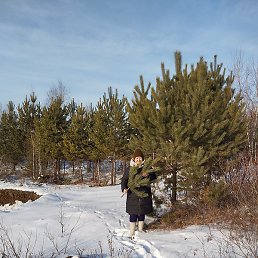 ��������, �������, 67 ���