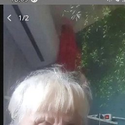 �����, ����, 65 ���