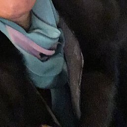 ���������, �������, 59 ���