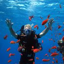 ���� Sergei, ��������, 66 ��� - ��������� 28 ����� 2024 � ������ ���� ����������