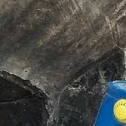 �����, 36 ���, ������