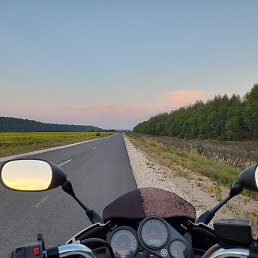 Roman, �����, 43 ����