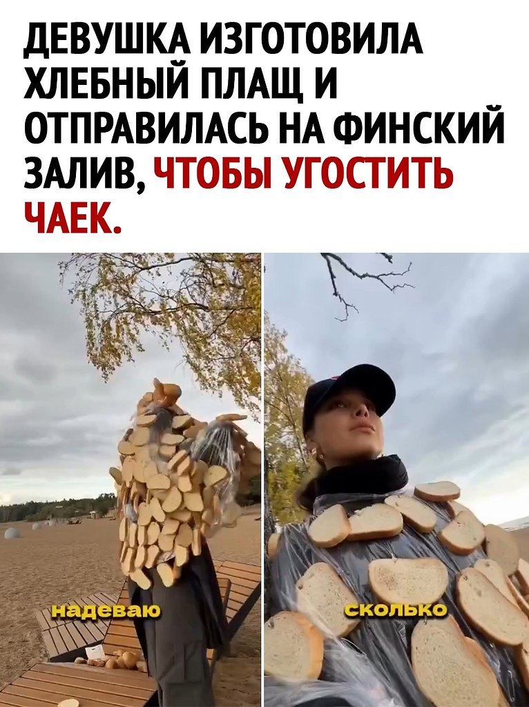  - 5  2025  14:44