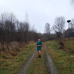 ������� �����, ������, 40 ���