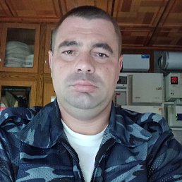 , 41 , 