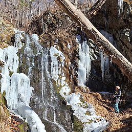 ���� ���, �������, 54 ���� - ��������� 26 ������� 2024