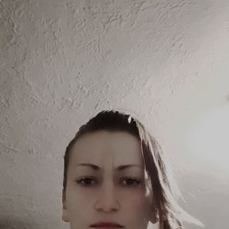 , 33, 