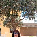 ���� ���, ������, 54 ���� - ��������� 7 ��� 2025