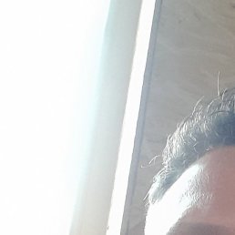 ���, ������, 37 ���