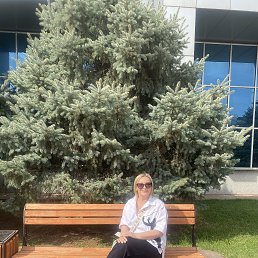  , -, 45  -  26  2024