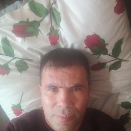 , 43, 