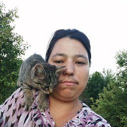 , 37, 