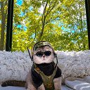 ���� �����, ������, 37 ��� - ��������� 2 ������ 2026 � ������ ���� ����������