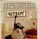 ���� ������� !, ������ - ��������� 30 ���� 2026 � ������ ������ ��������