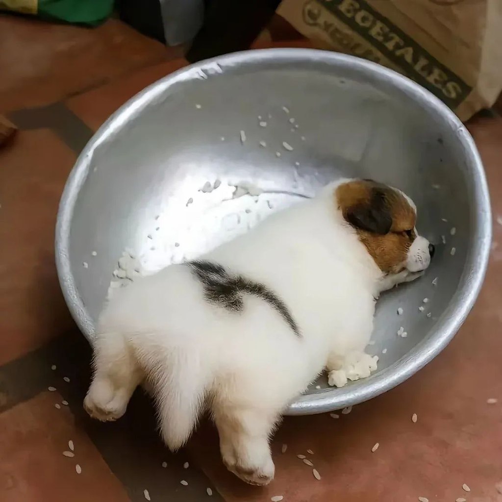   ...)