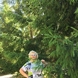 �������, ���������, 61 ���