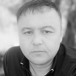 ����, ��������, 41 ���