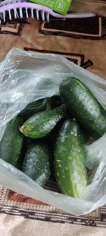 ���� ����������, ������, 49 ��� - ��������� 27 ������� 2023